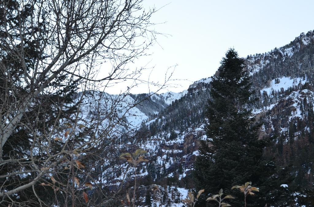 The Ouray Main Street Inn Δωμάτιο φωτογραφία